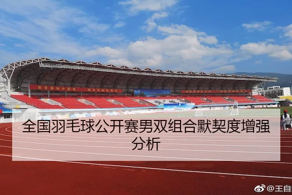 全国羽毛球公开赛男双组合默契度增强分析